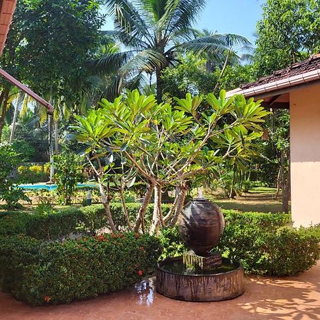 Habaraduwa Central King Coconut Lodge מראה חיצוני תמונה