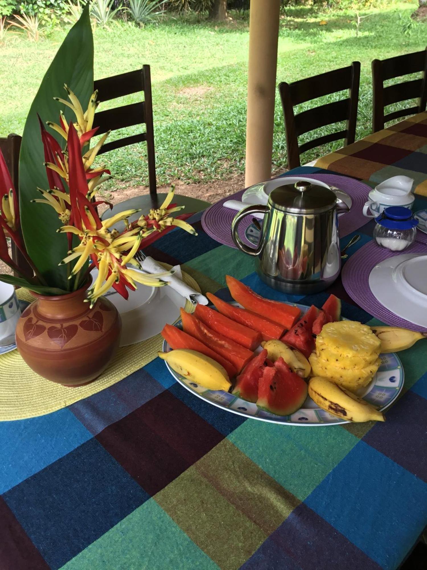 Habaraduwa Central King Coconut Lodge מראה חיצוני תמונה