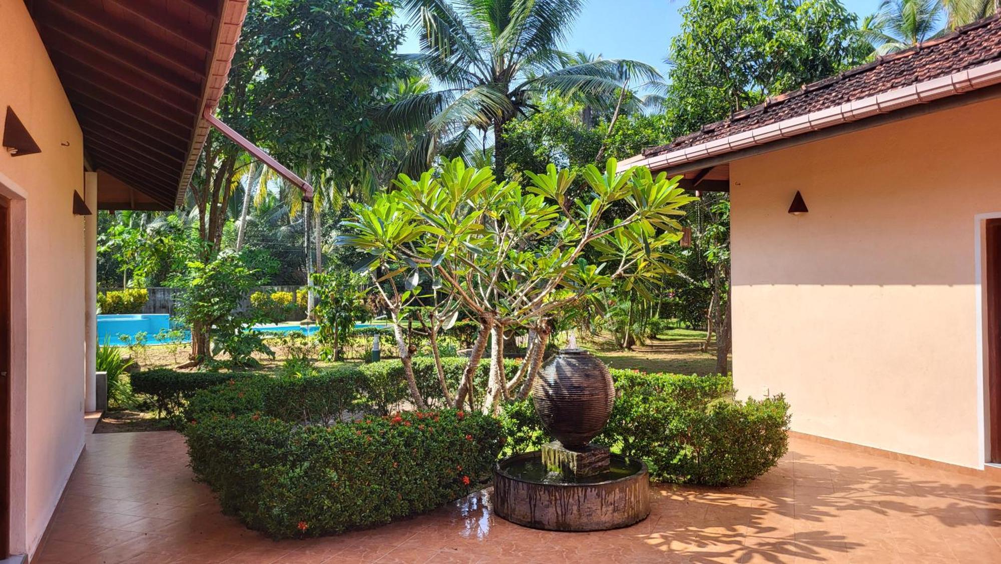 Habaraduwa Central King Coconut Lodge מראה חיצוני תמונה
