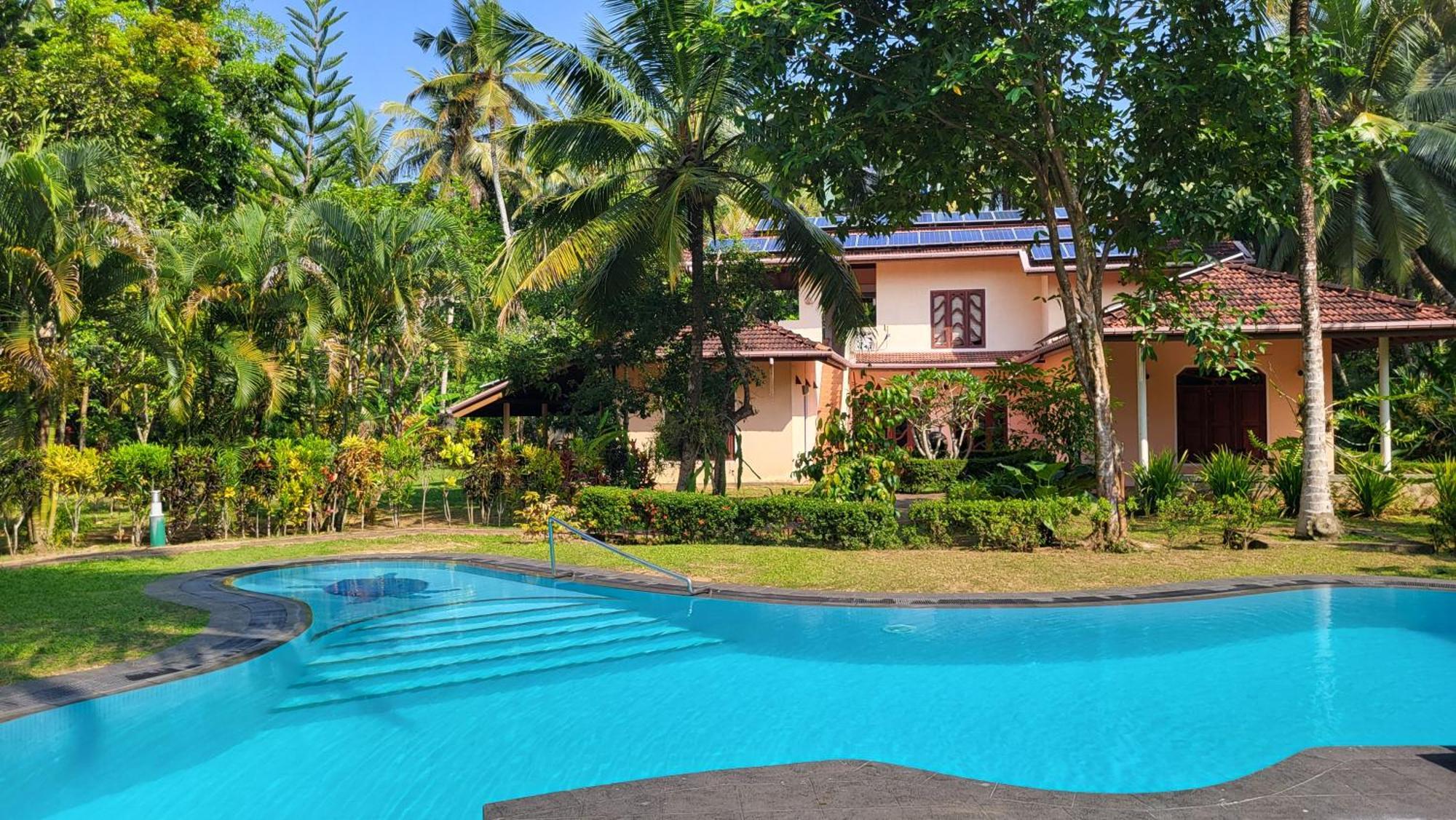 Habaraduwa Central King Coconut Lodge מראה חיצוני תמונה