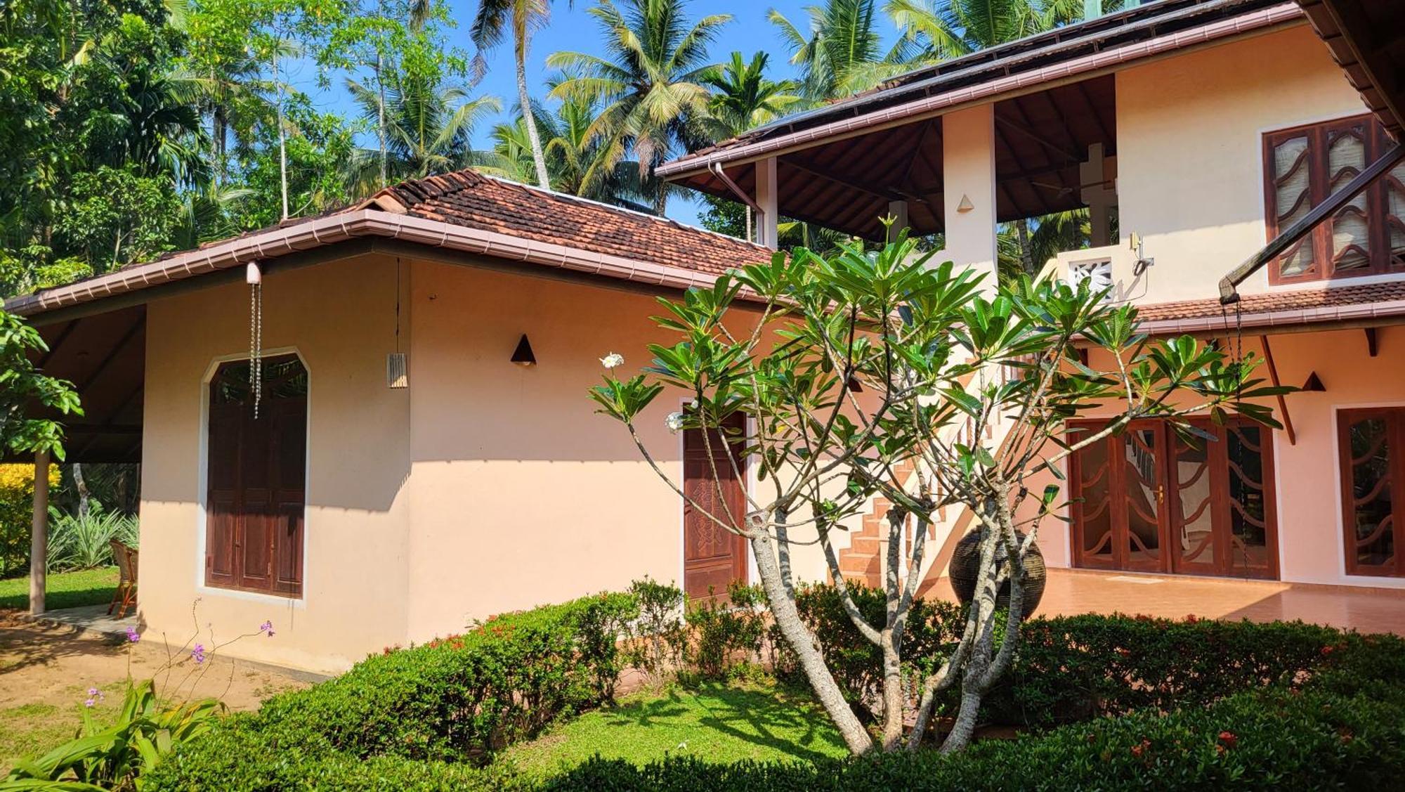 Habaraduwa Central King Coconut Lodge מראה חיצוני תמונה