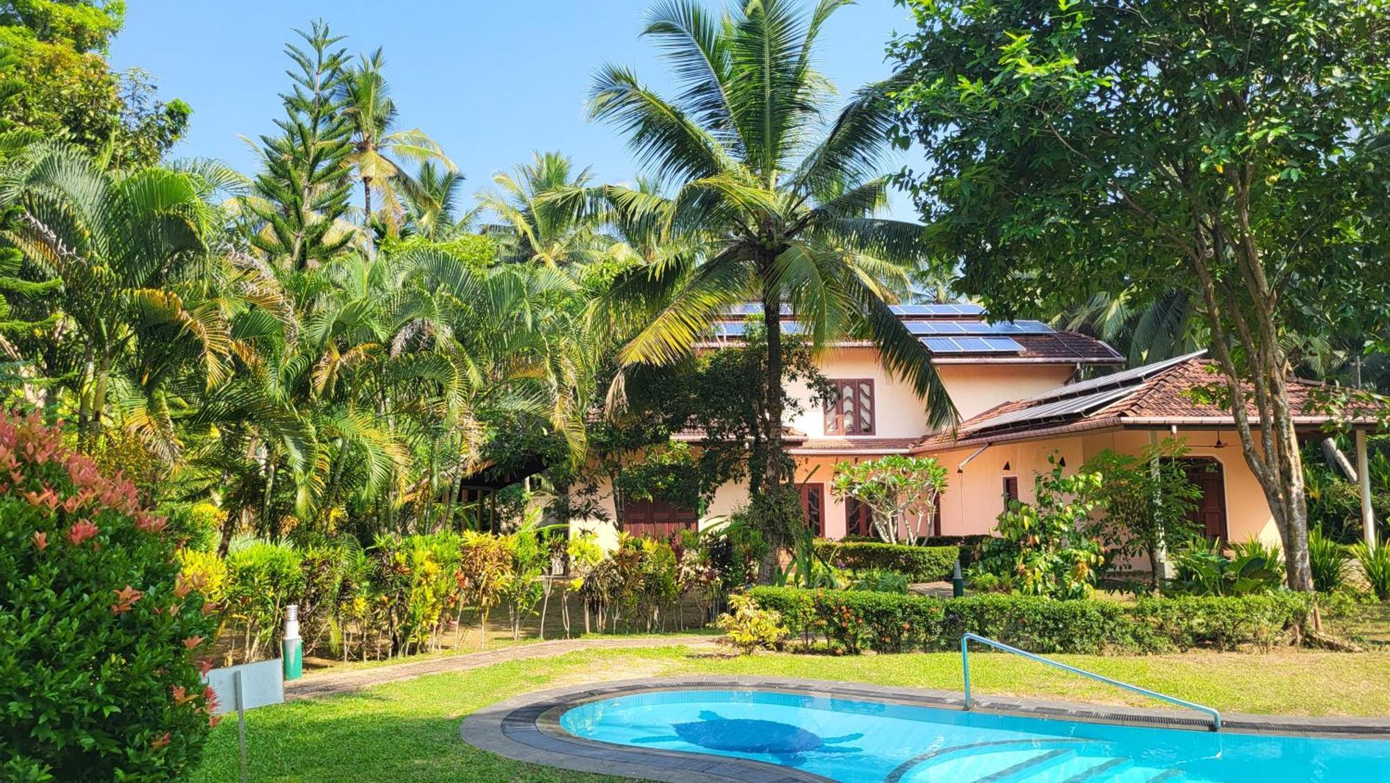 Habaraduwa Central King Coconut Lodge מראה חיצוני תמונה