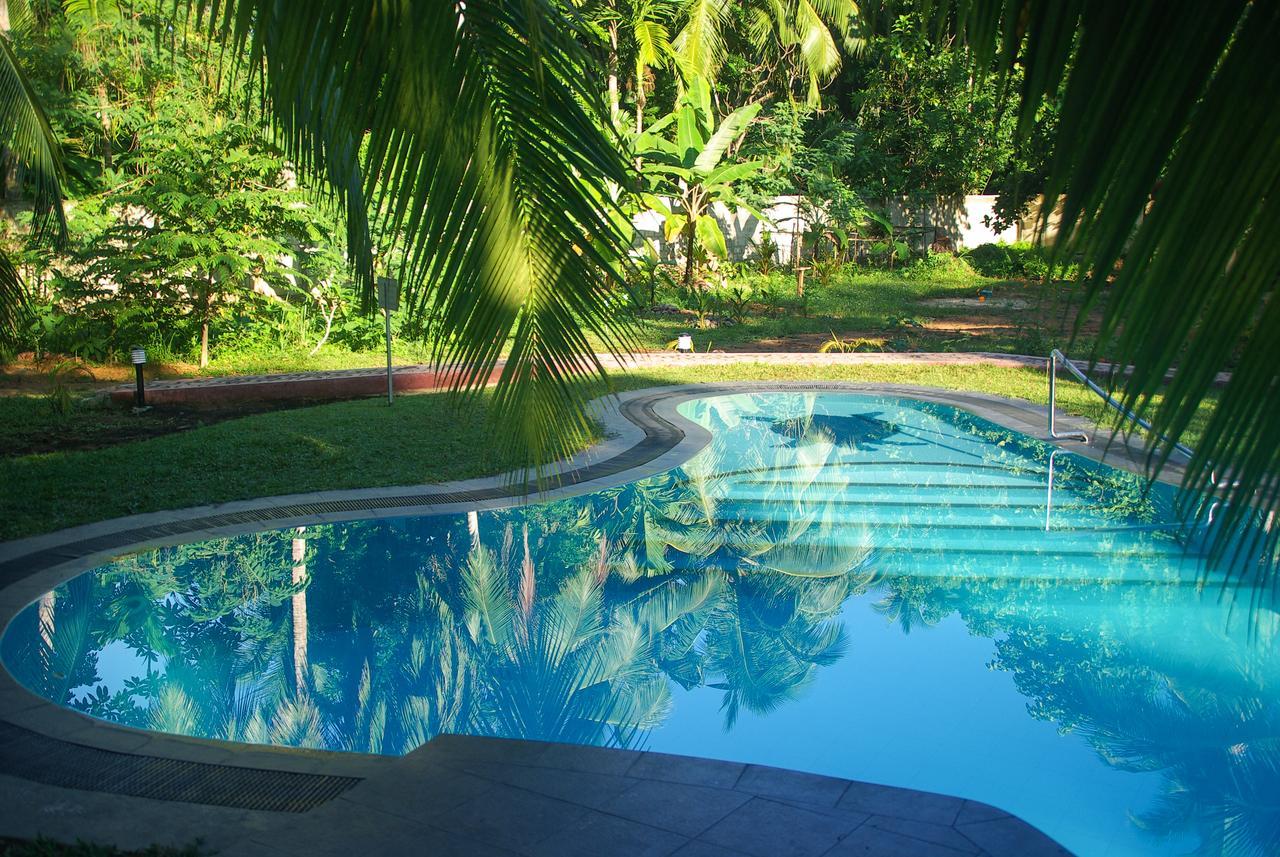 Habaraduwa Central King Coconut Lodge מראה חיצוני תמונה
