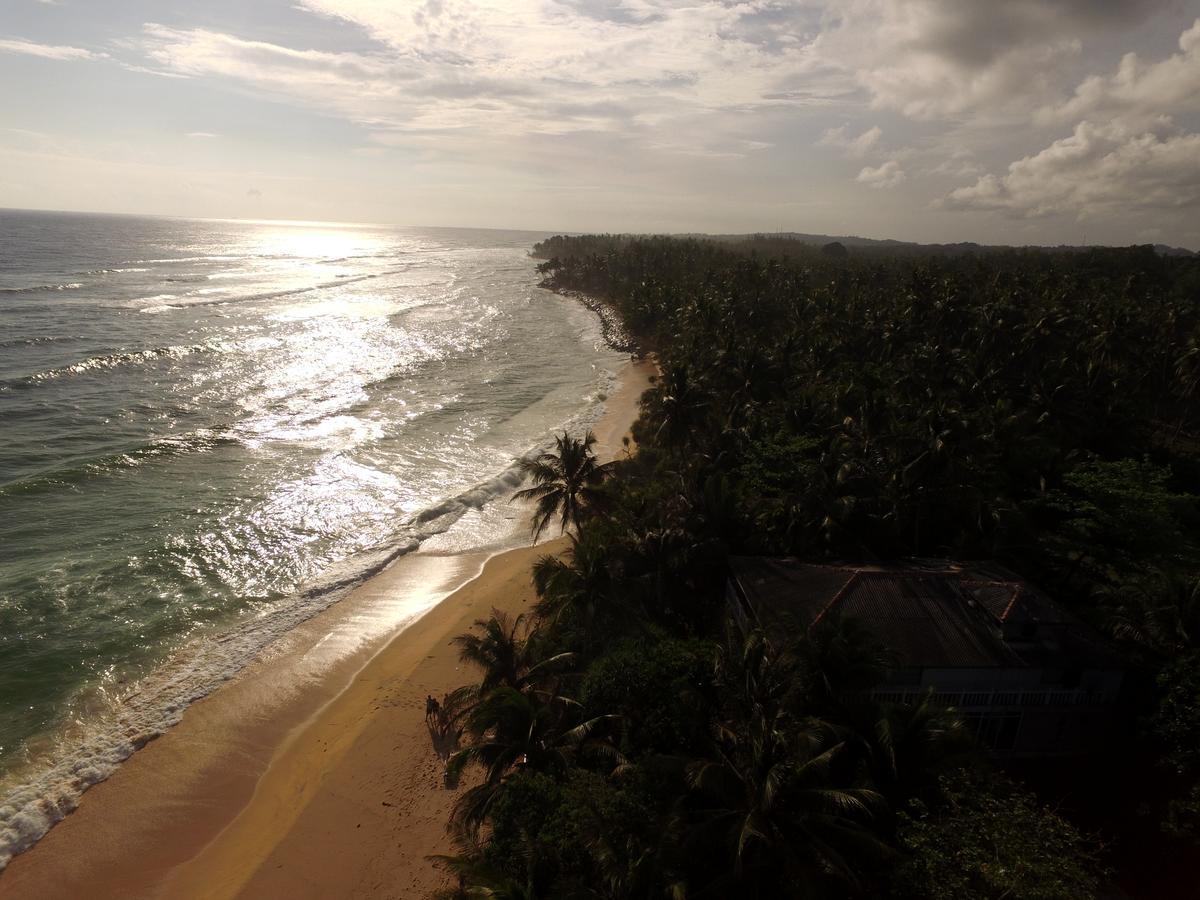 Habaraduwa Central King Coconut Lodge מראה חיצוני תמונה