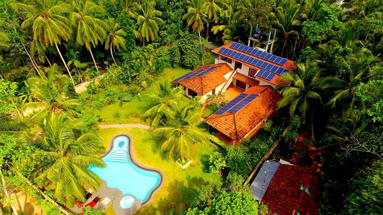 Habaraduwa Central King Coconut Lodge מראה חיצוני תמונה