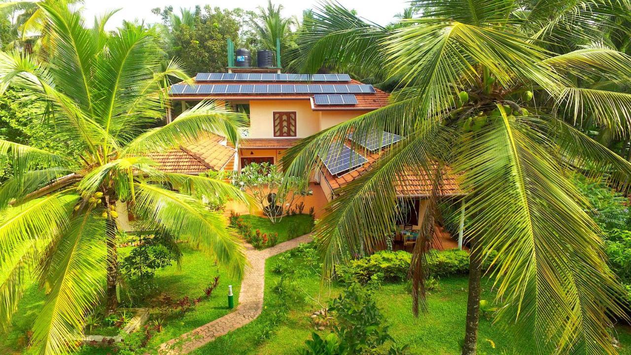 Habaraduwa Central King Coconut Lodge מראה חיצוני תמונה