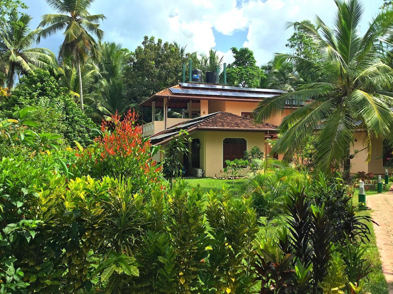 Habaraduwa Central King Coconut Lodge מראה חיצוני תמונה